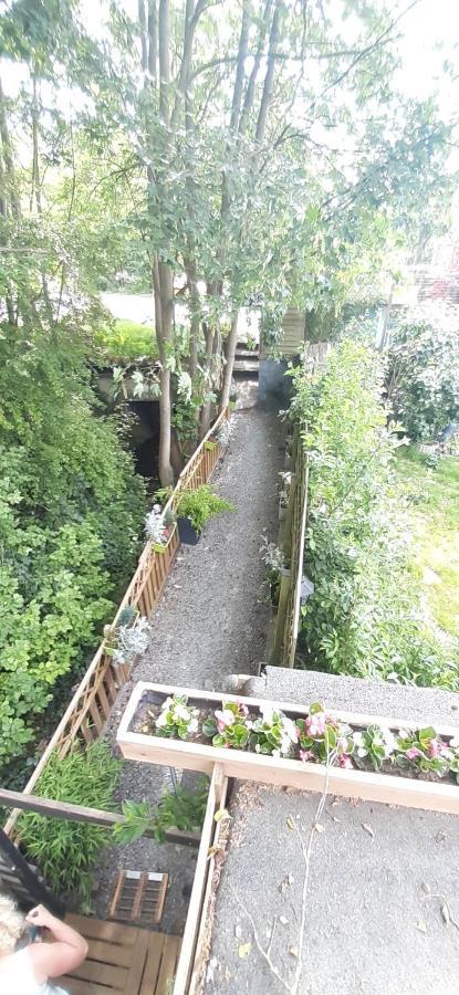 שרלרואה La P'Tite Maison מראה חיצוני תמונה