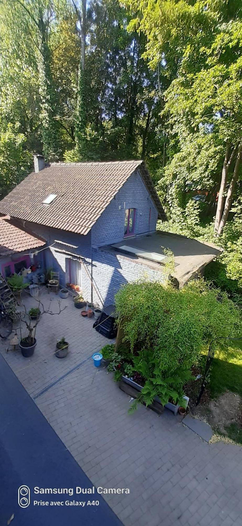 שרלרואה La P'Tite Maison מראה חיצוני תמונה